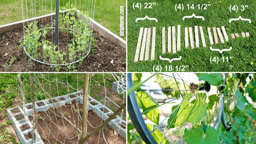 10 Vegetable Garden Trellis Ideas Simphome