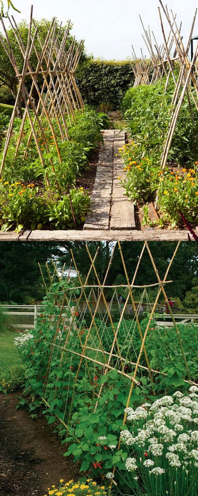 Easy Diy Garden Trellis Ideas Plant Structures Vegetable Garden | Hot ...