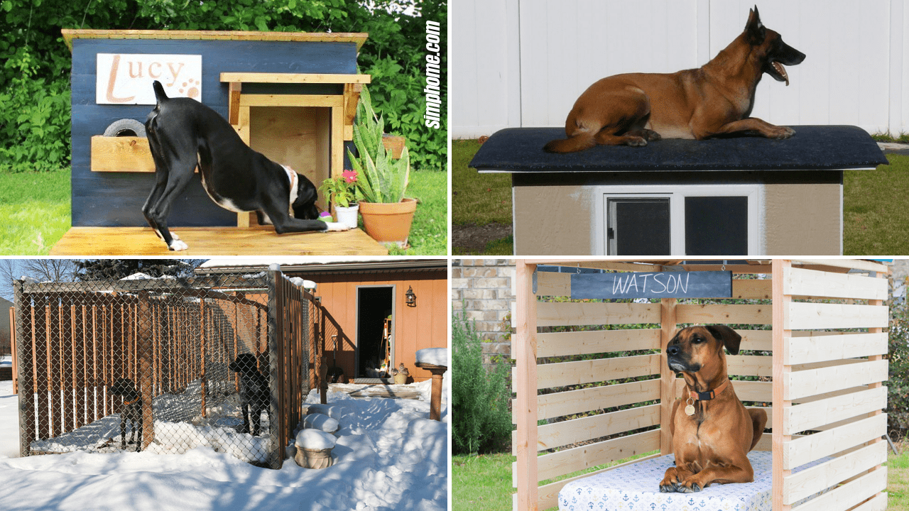 dog kennel roof design