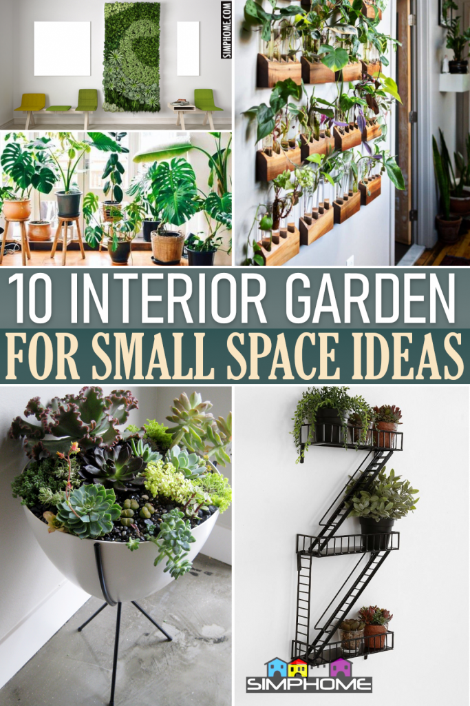 10 Interior Garden Ideas for Small House Owner - Simphome